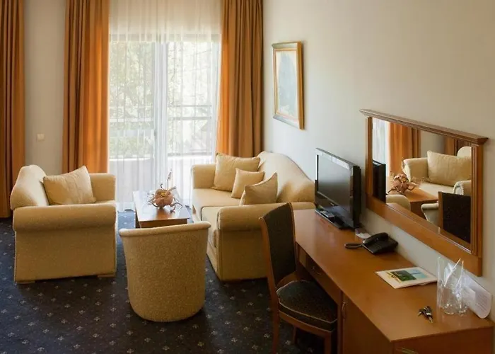 Panorama מלון 4*